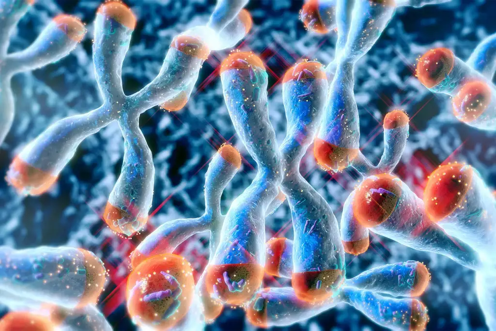 Vitamin D supplements may slow biological aging